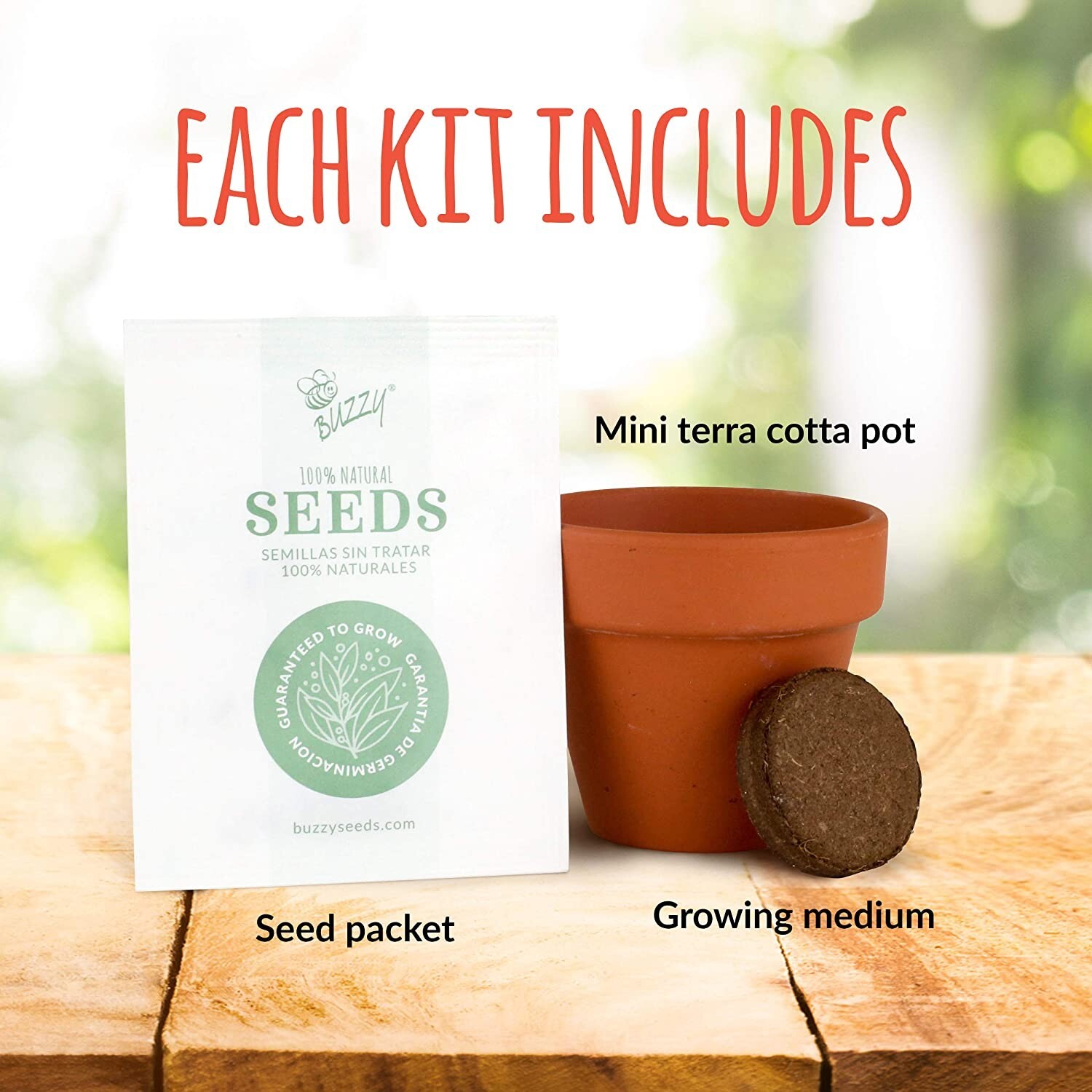 BUZZY 2″ Mini Grow Kit Terra Cotta Pot, Lavender, 4/Pack