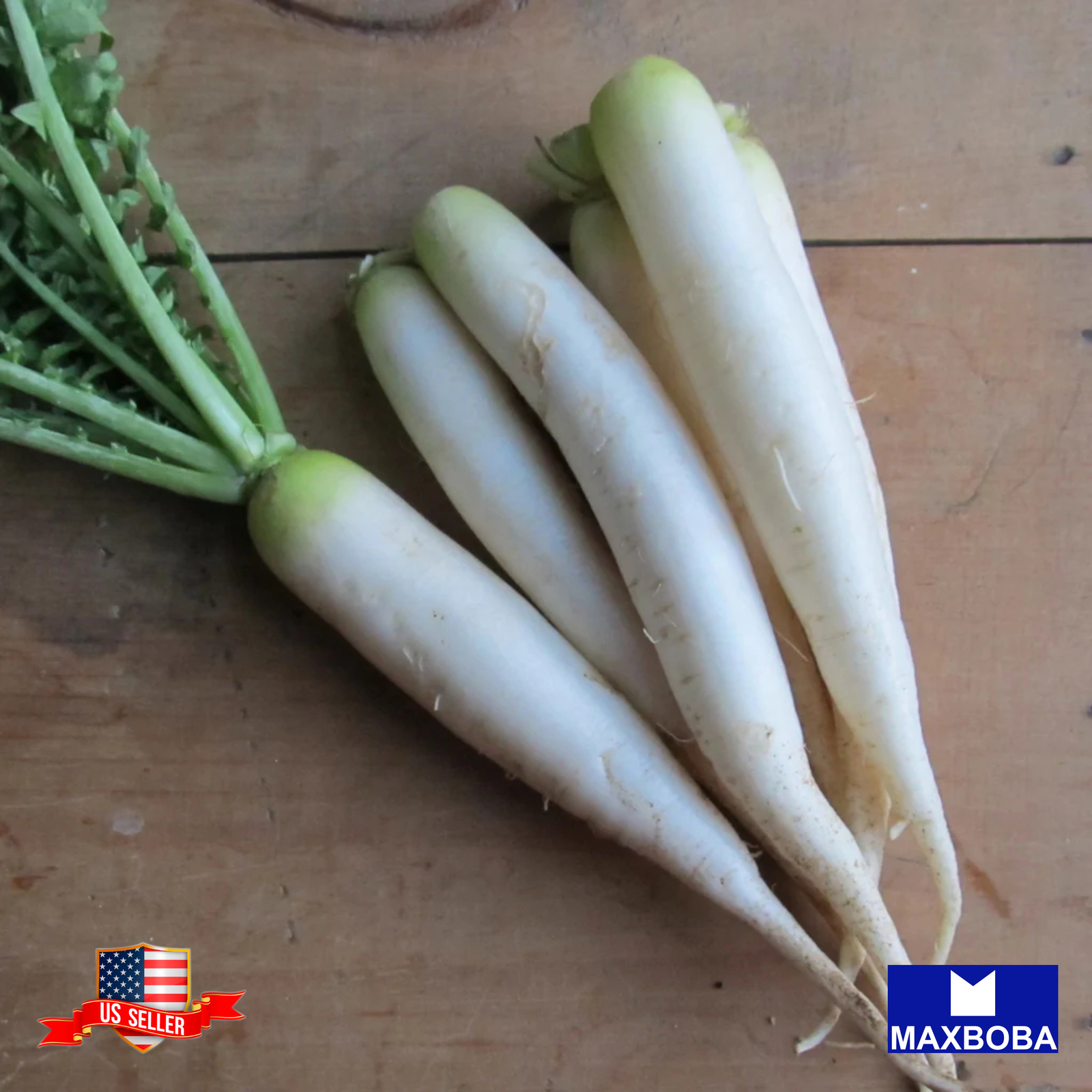 Radish Seeds Cover Crop Daikon Minowase (Organic) Non-GMO