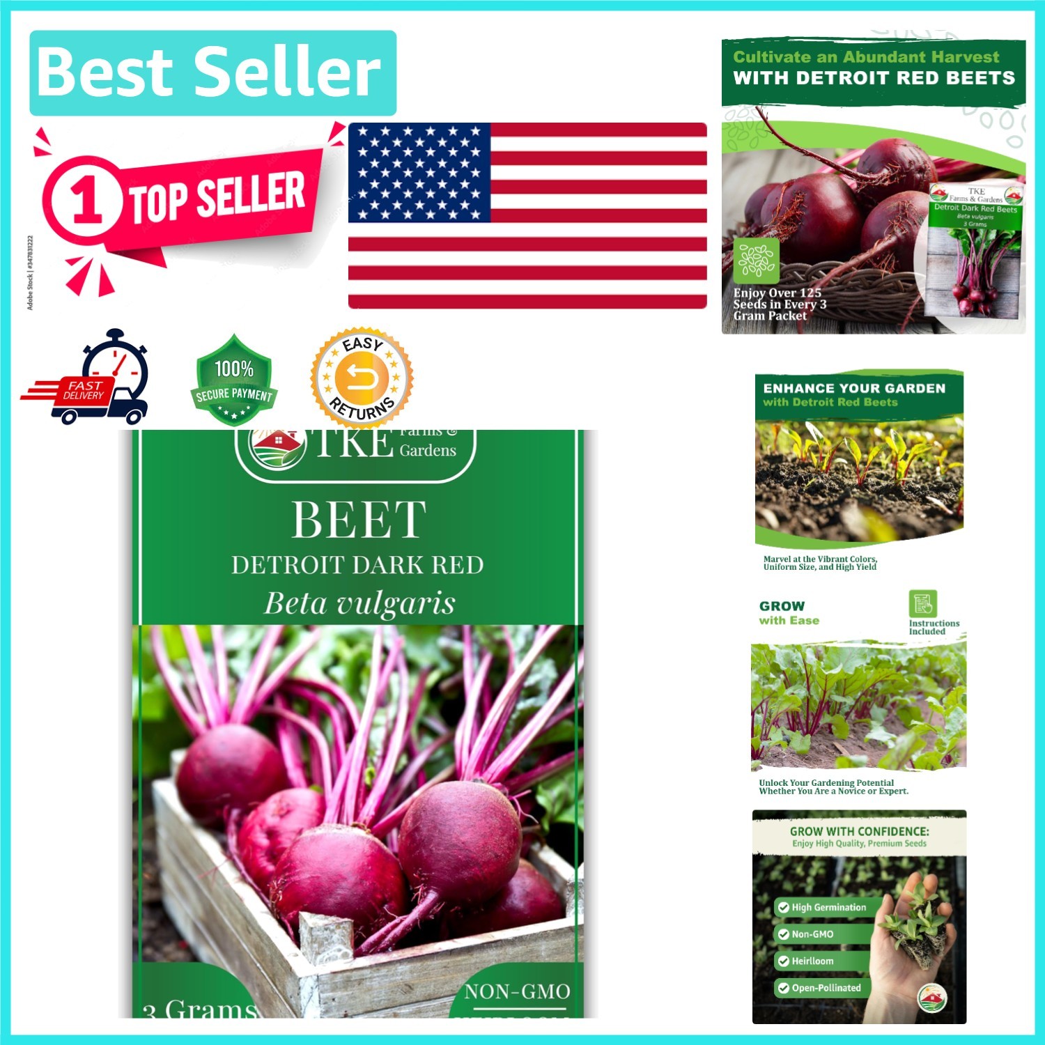 High-Germination Detroit Dark Red Beet Seeds – Non-GMO, Drought Tolerant Variety