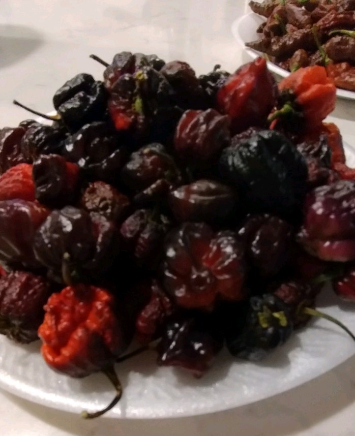 Orion Pepper (20 Seeds) Super Hot, Beautiful Colors, Free Shipping