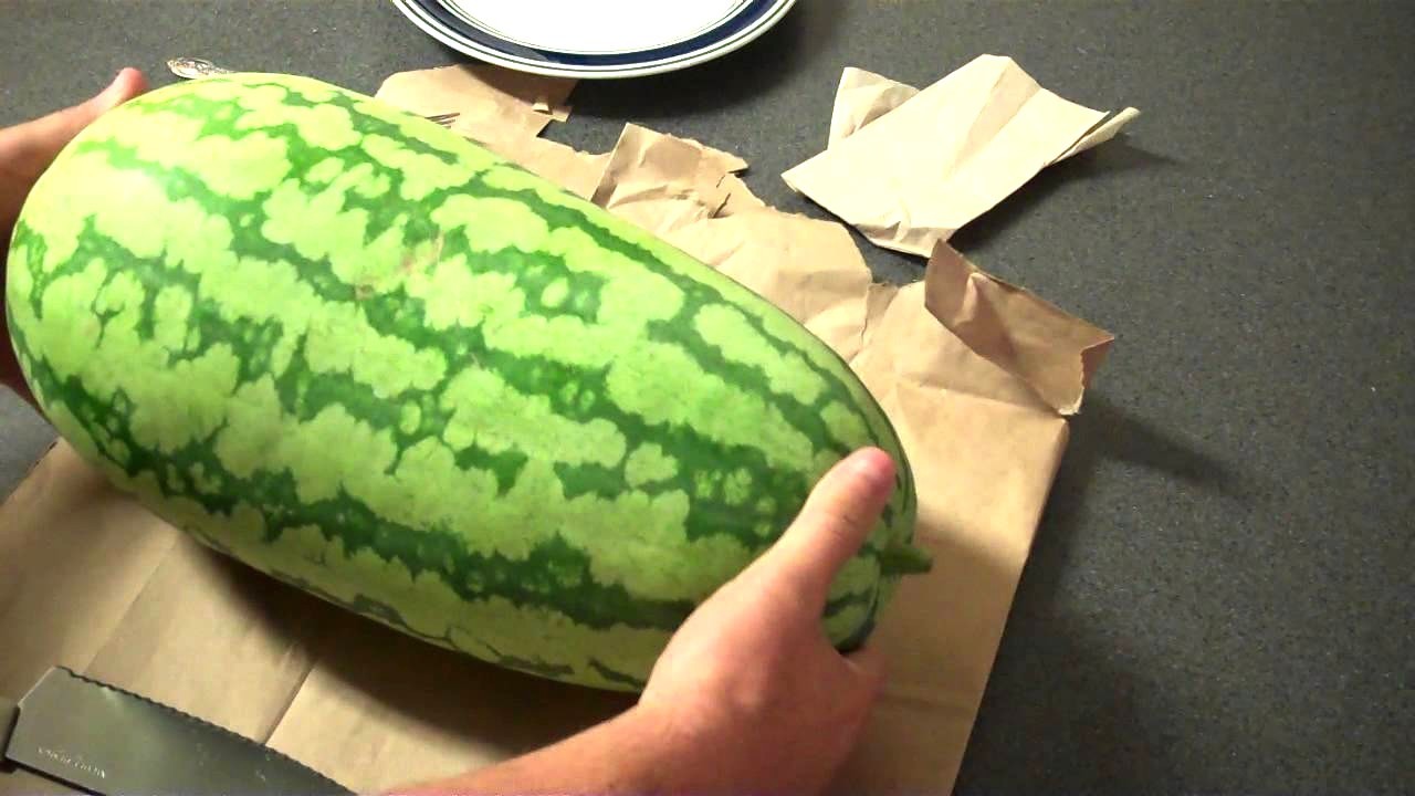 40+JUBILEE WATERMELON Seeds Heirloom Organic Vine 25-30lbs Summer Garden Easy
