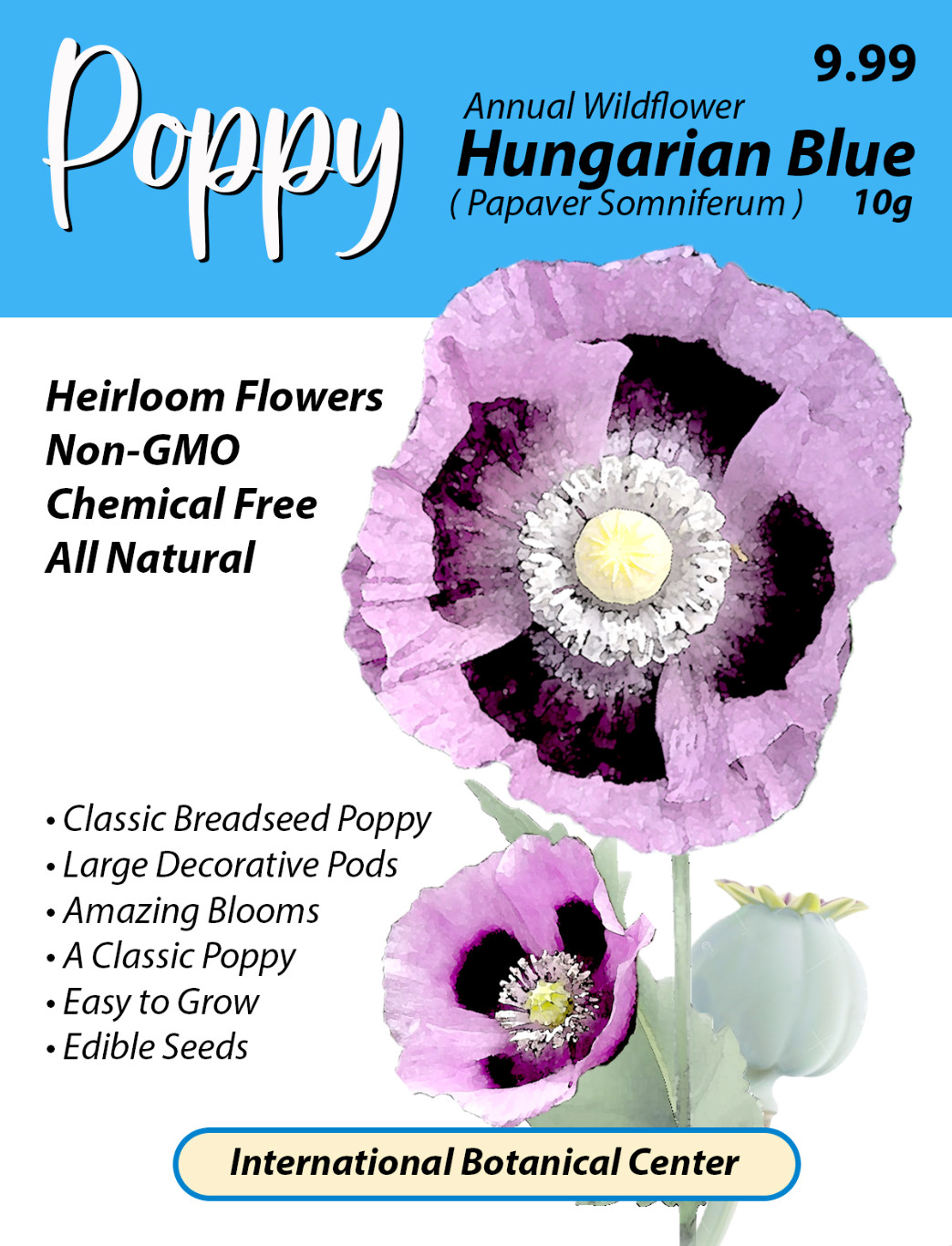 Poppy Seeds HUNGARIAN BREADSEED Purple Huge Pods Garden Delight 20000 Seeds!