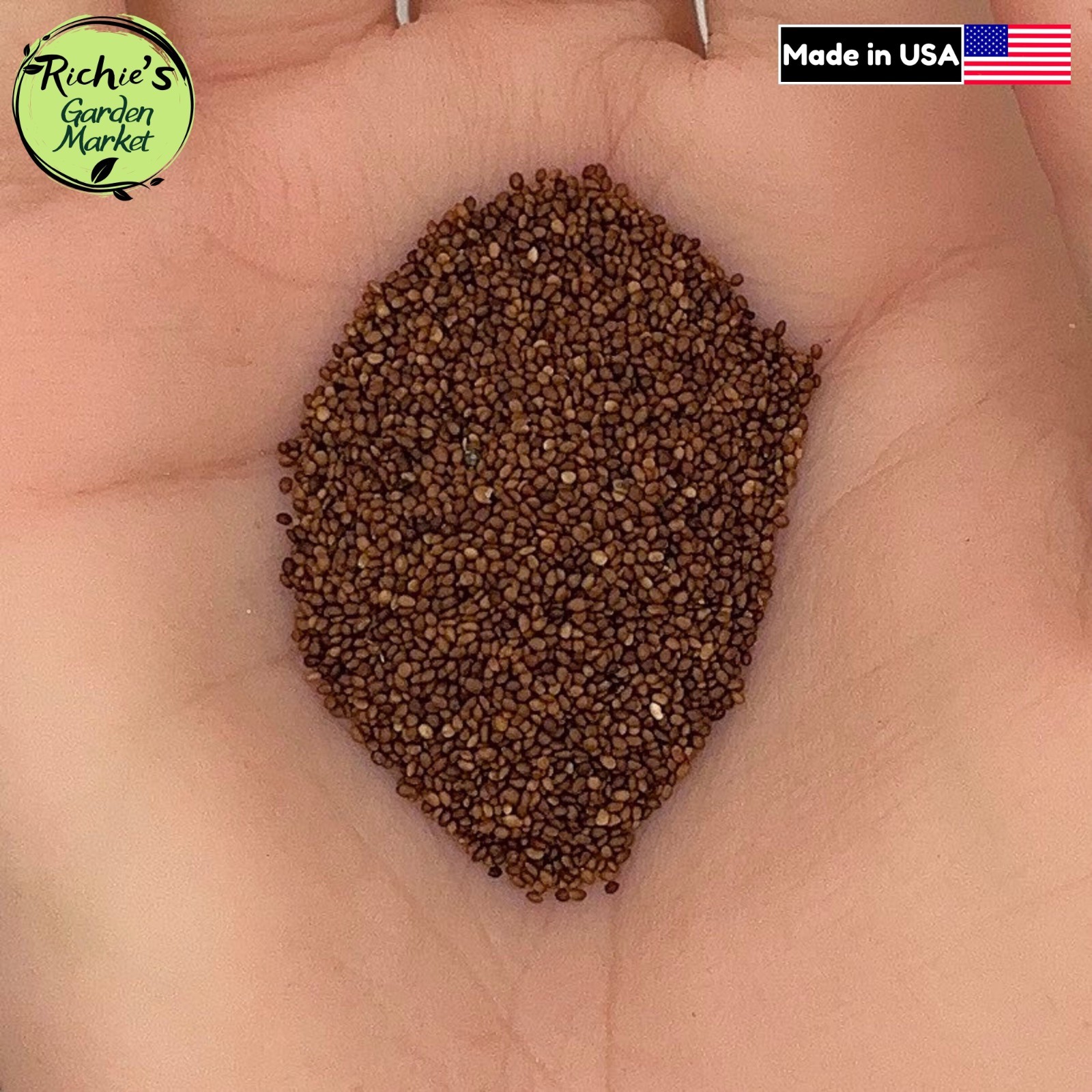 Marjoram Seeds, Sweet Heirloom, Non-GMO, Organic, Perennial, Free Shipping