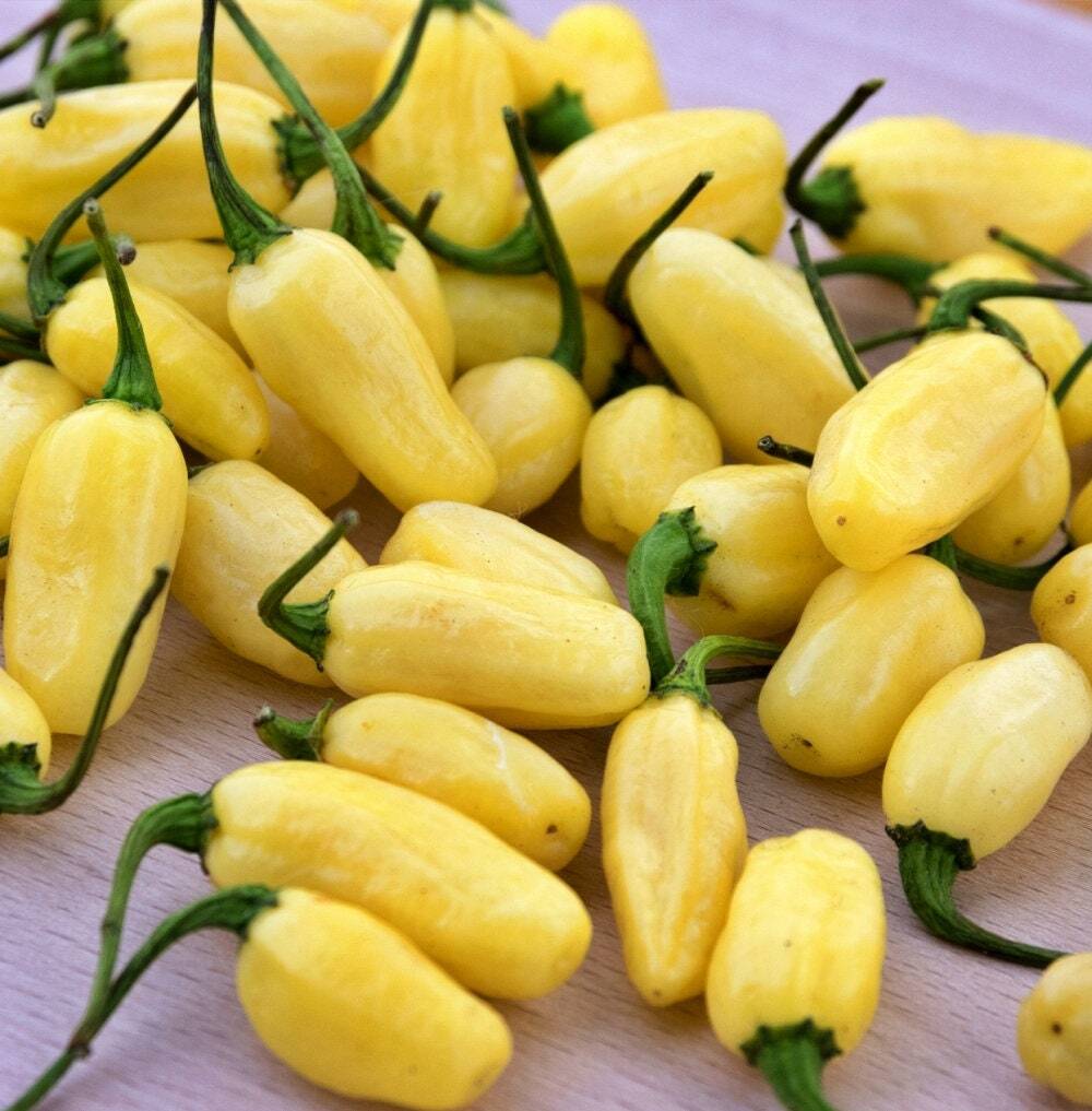 Habanero White Hot Pepper Seeds | NON-GMO | Heirloom | Fresh Garden Seeds