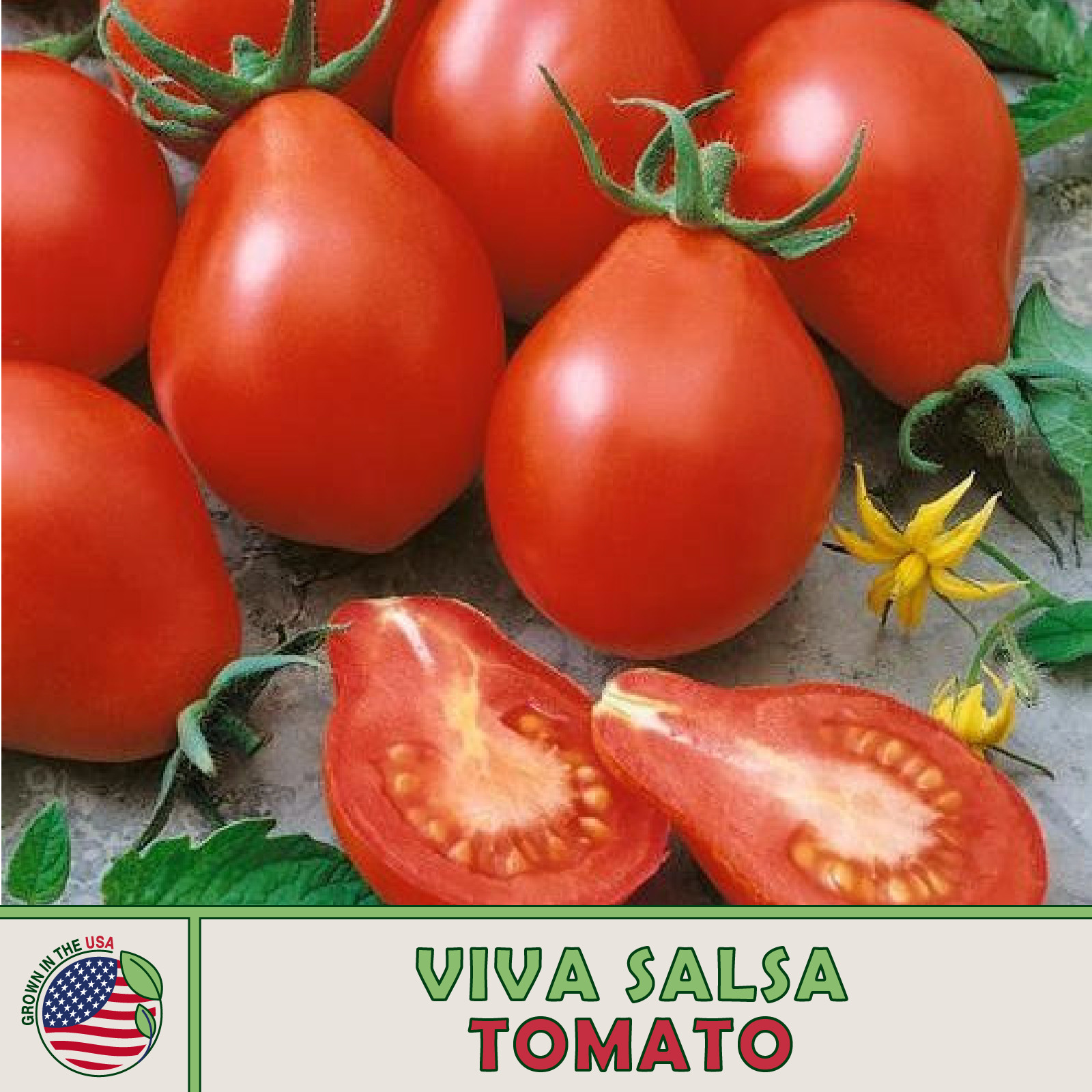 10 Viva Salsa Tomato Seeds, Hybrid, Non-GMO, Genuine USA