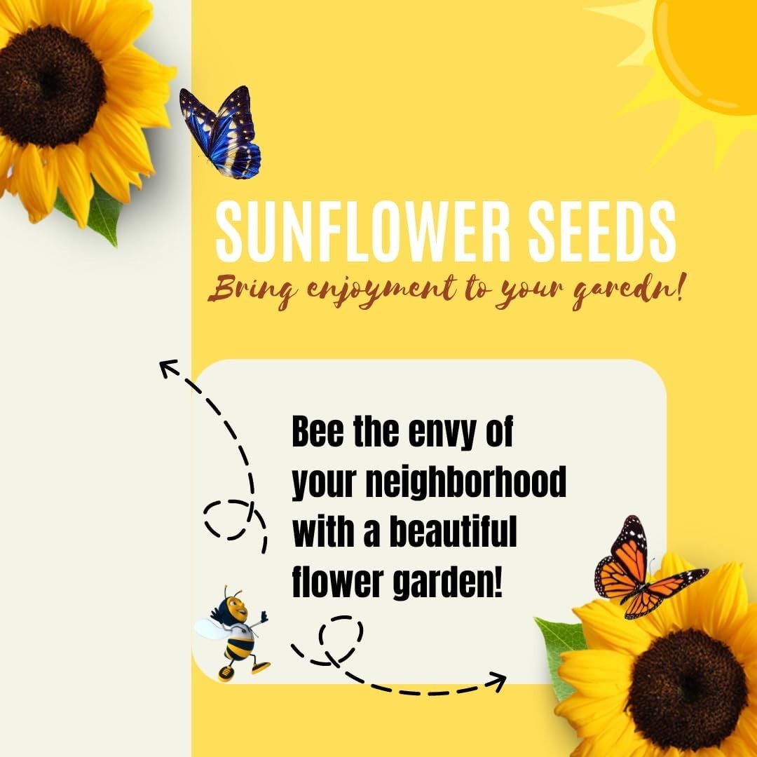 Giant Sunflower Seeds Packet – Grow 8-12 Ft Tall Flowers, Attract Pollinators