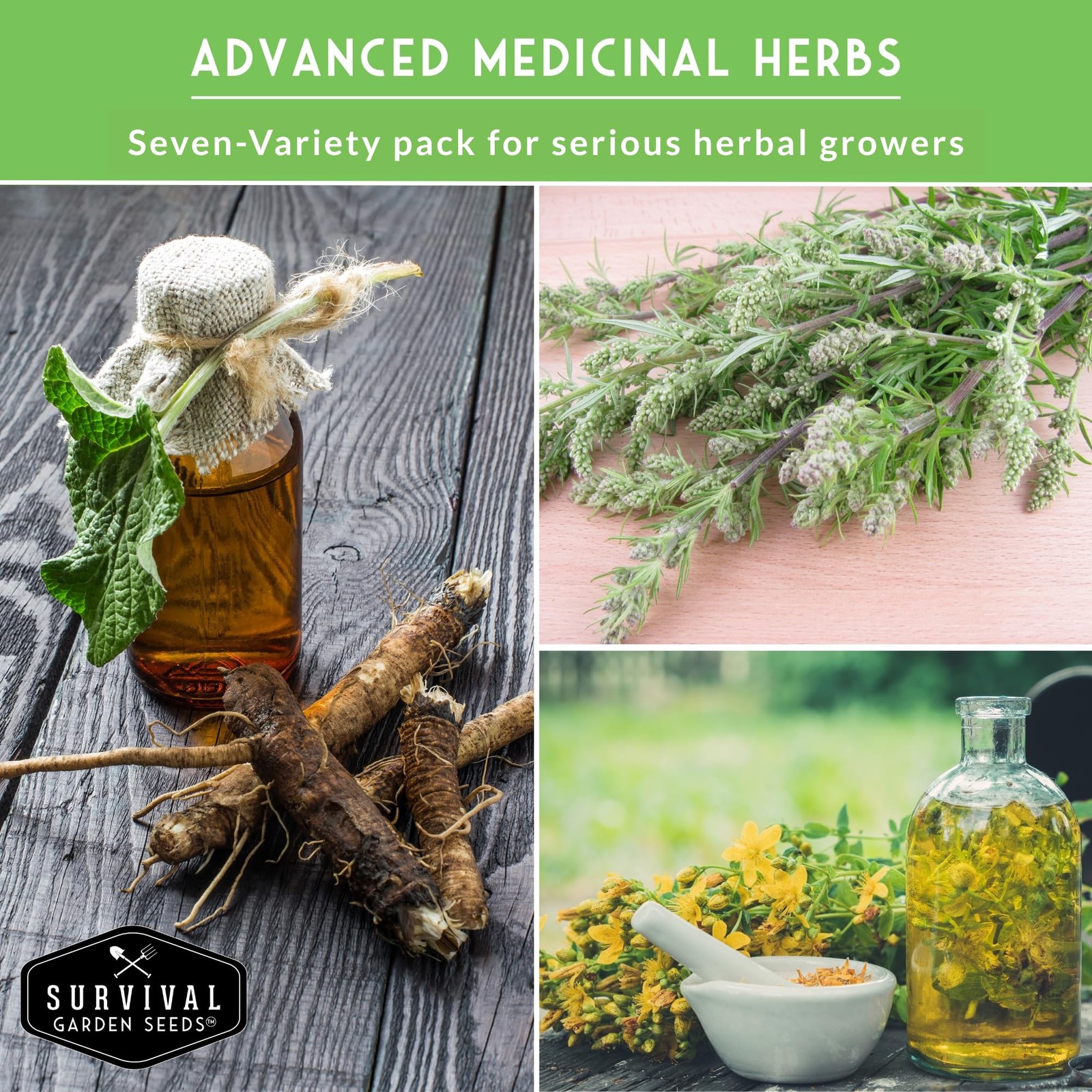 Herbal Seed Collection Plantain, JoePye Weed, St John’s Wort, Valerian,