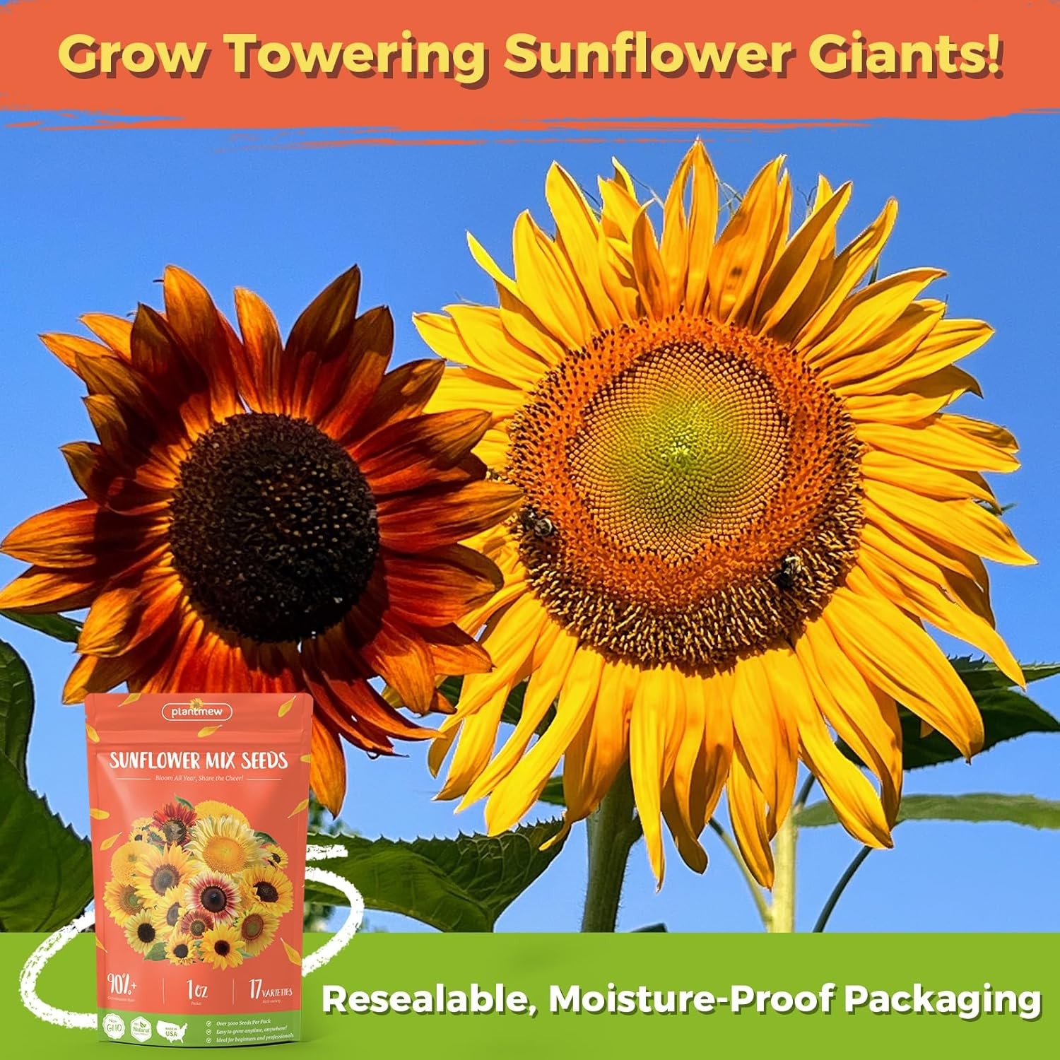 Sunflower Seeds for Planting | Giant Mammoth Sunflower Bulk Packet 3000+Heirloom