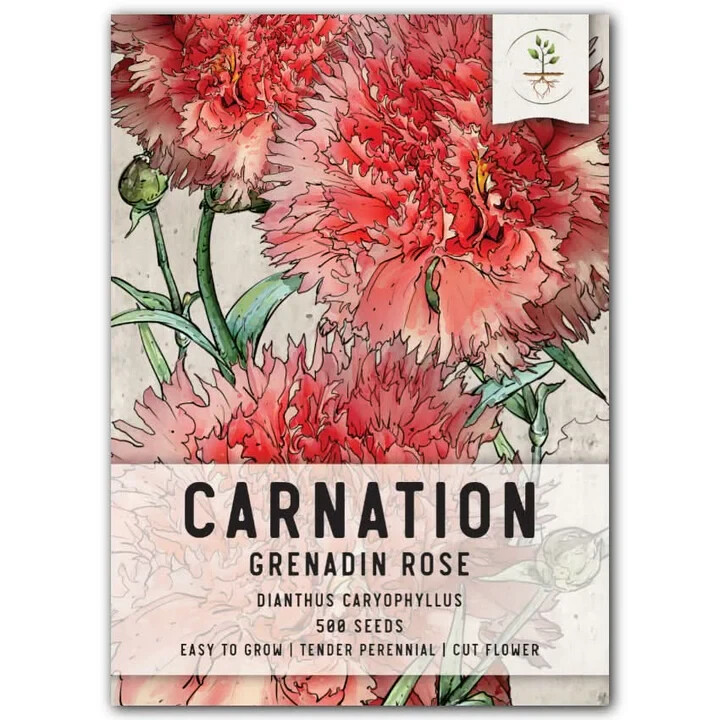 3 – Grenadin Rose Carnation Seeds For Planting (Dianthus caryophyllus) 500 Seeds