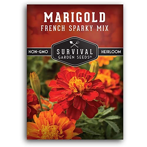 French Sparky Marigold Seeds for Planting – Plant & Grow Red & Orange Patula 1