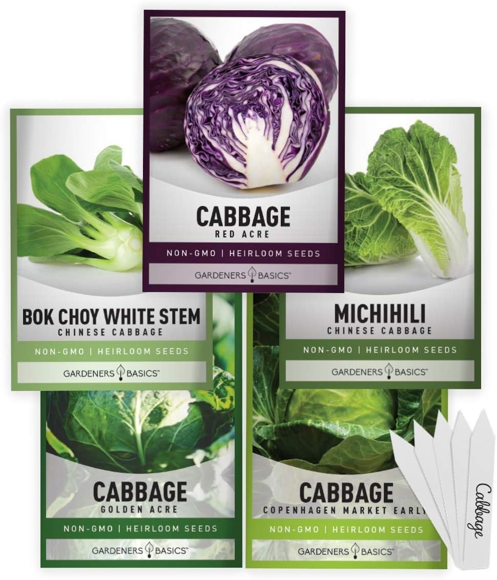 Cabbage Seeds 5 Packets Bok Choy, Michihili, Napa, Red, Golden Acre