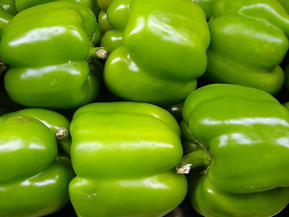 200 BIG GREEN BELL PEPPER Sweet Capsicum Annuum Vegetable Seeds *Combined Ship