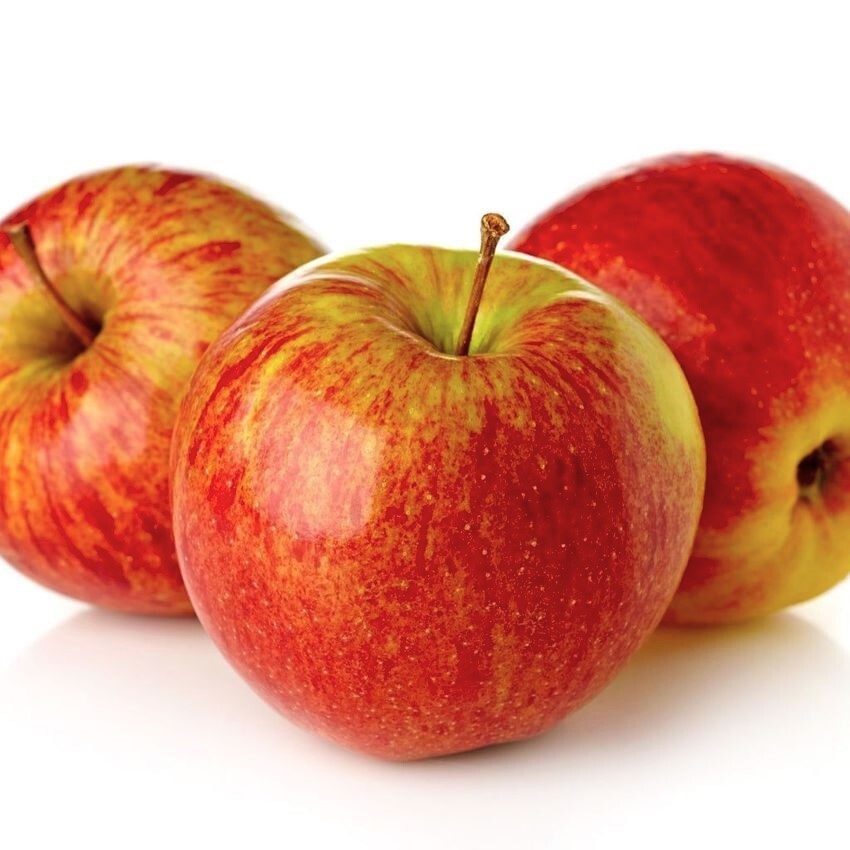 50 Anna Apple Tree Seeds – FRESH SEEDS
