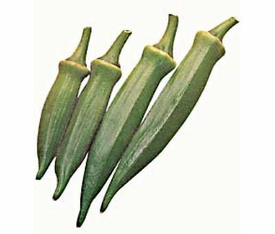Okra Emerald 500 seeds