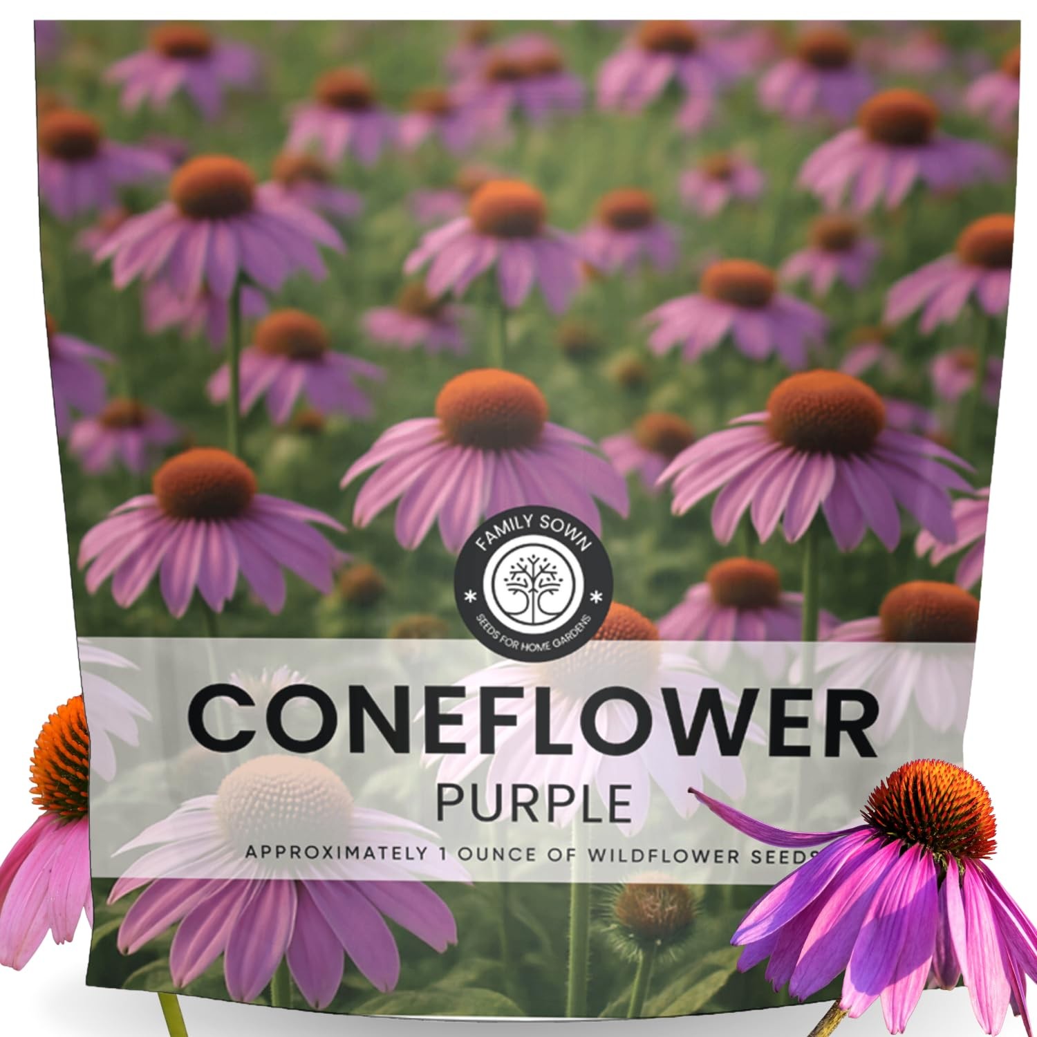 Buy 7,000 Purple Coneflower Seeds for Planting – 1 Ounce Pouch 2026 Season