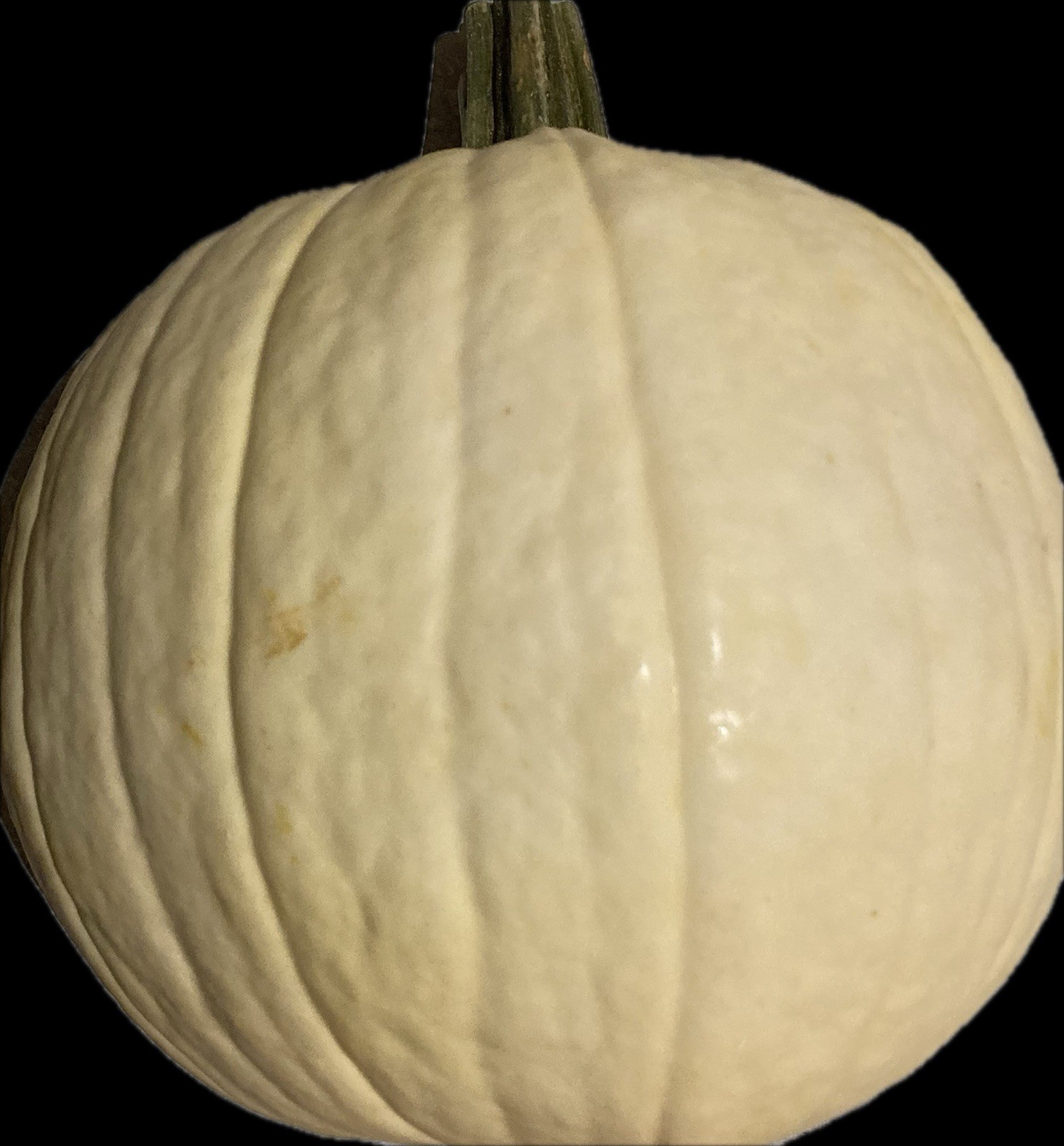 25+ White Ghost Pumpkin Seeds Organically Grown Heirloom USA Free Shipping