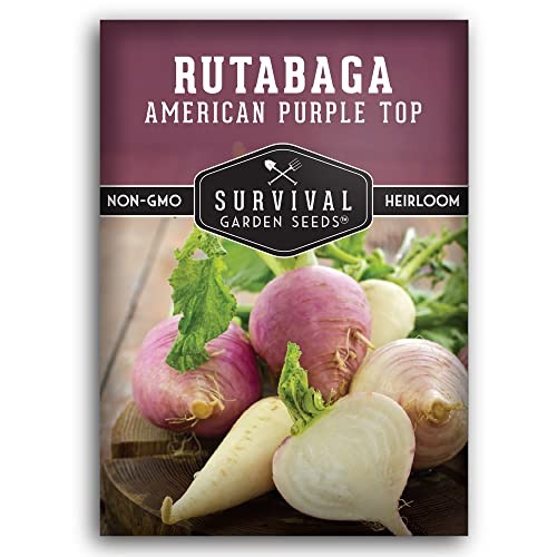 – Pack American Purple Rutabaga Seed for Planting with Instructions to Grow 1