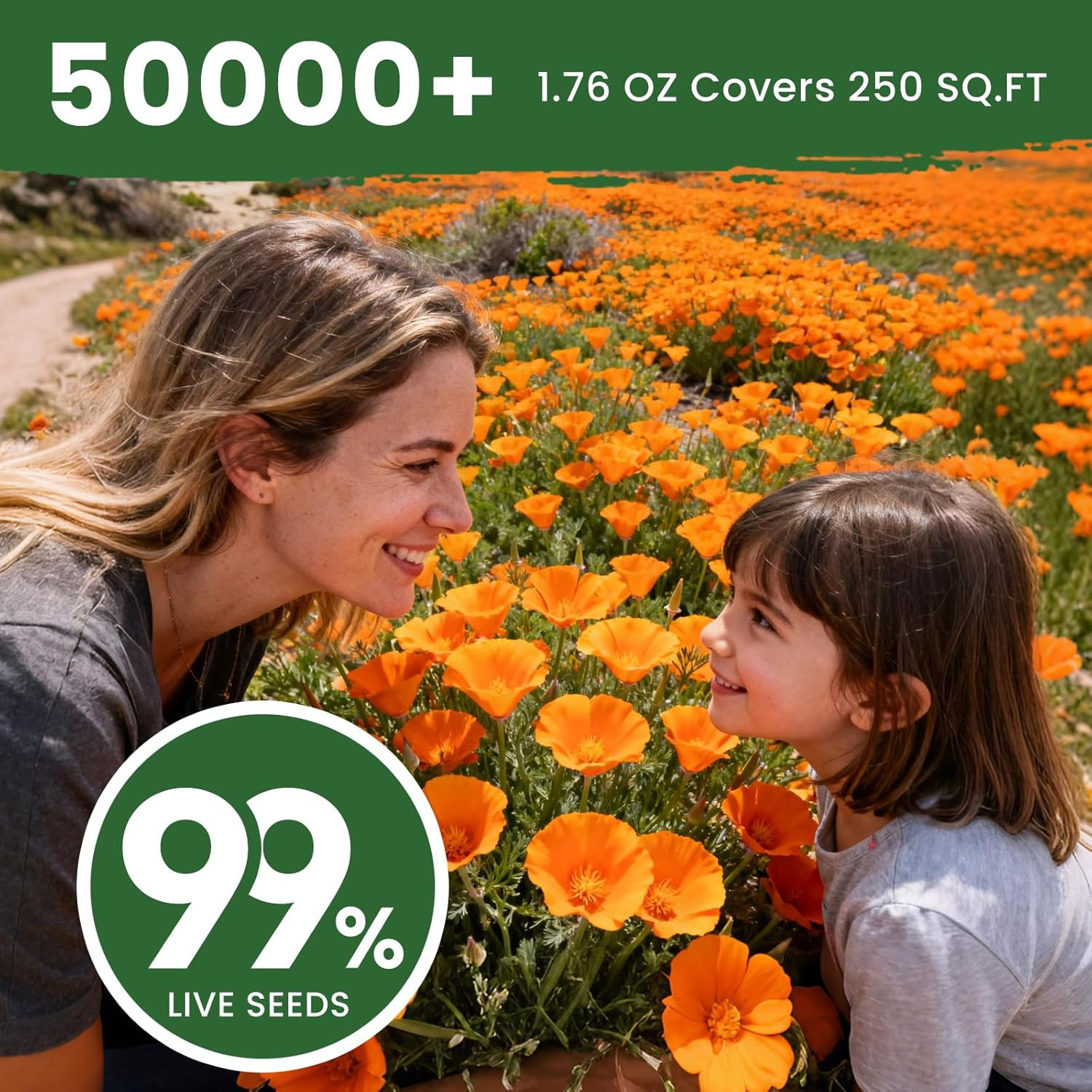 California Poppy Seeds for Planting, Orange Poppy Flower Seeds, Bulk 50,000+ See