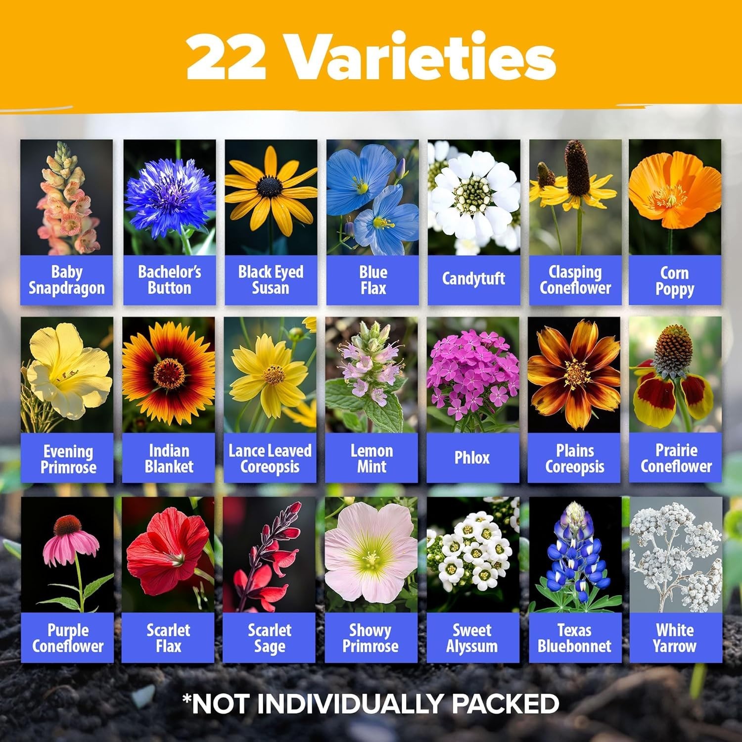 131,200+ Texas Wildflower Seeds | Eco-Friendly Pollinator Garden Mix