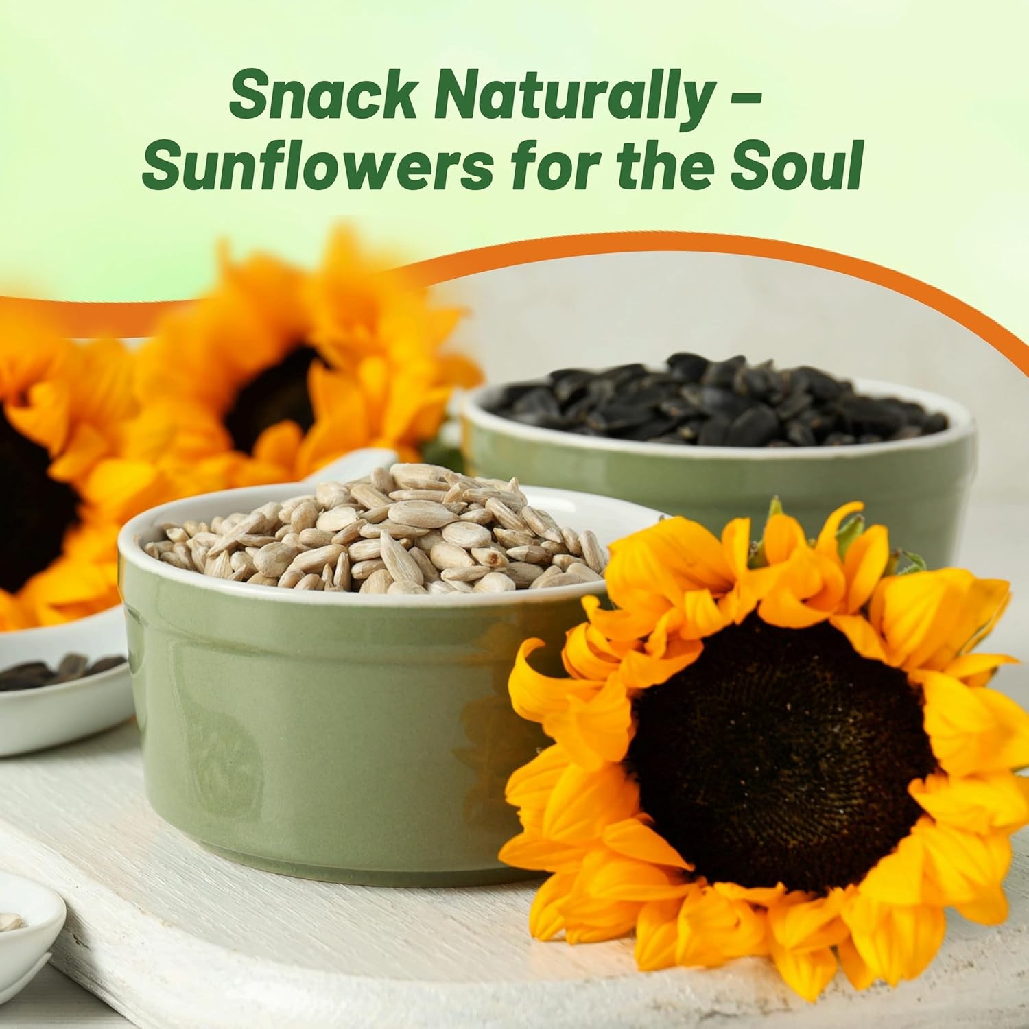 1000 Seeds Wild Sunflower Seed For Planting Outdoors – Helianthus Annuus