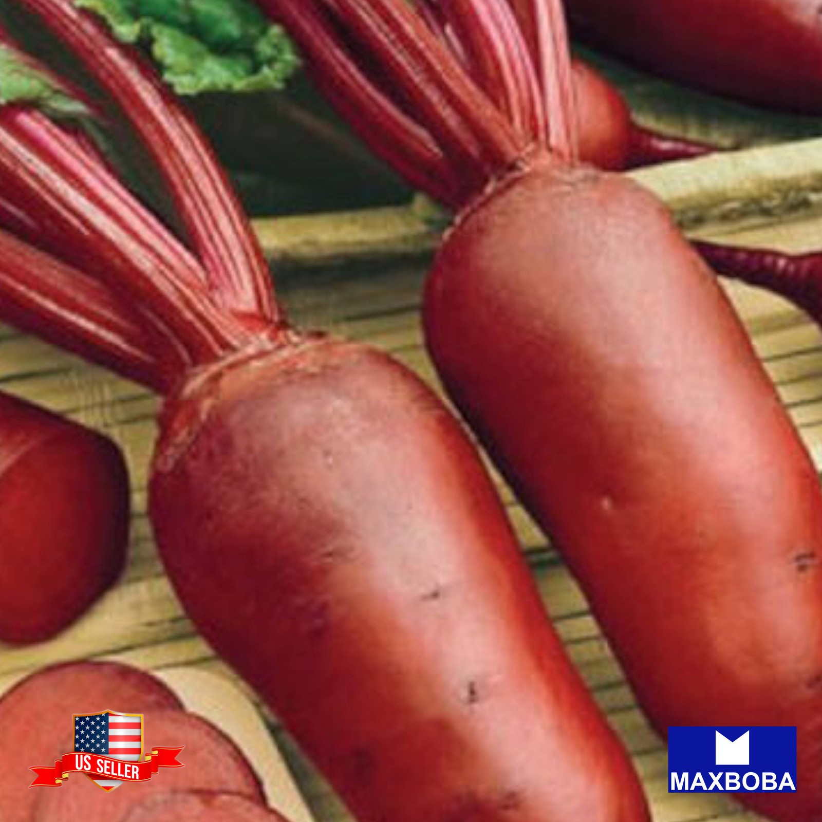 75 Cylindra Beet Fresh Seeds – Non-GMO, Heirloom