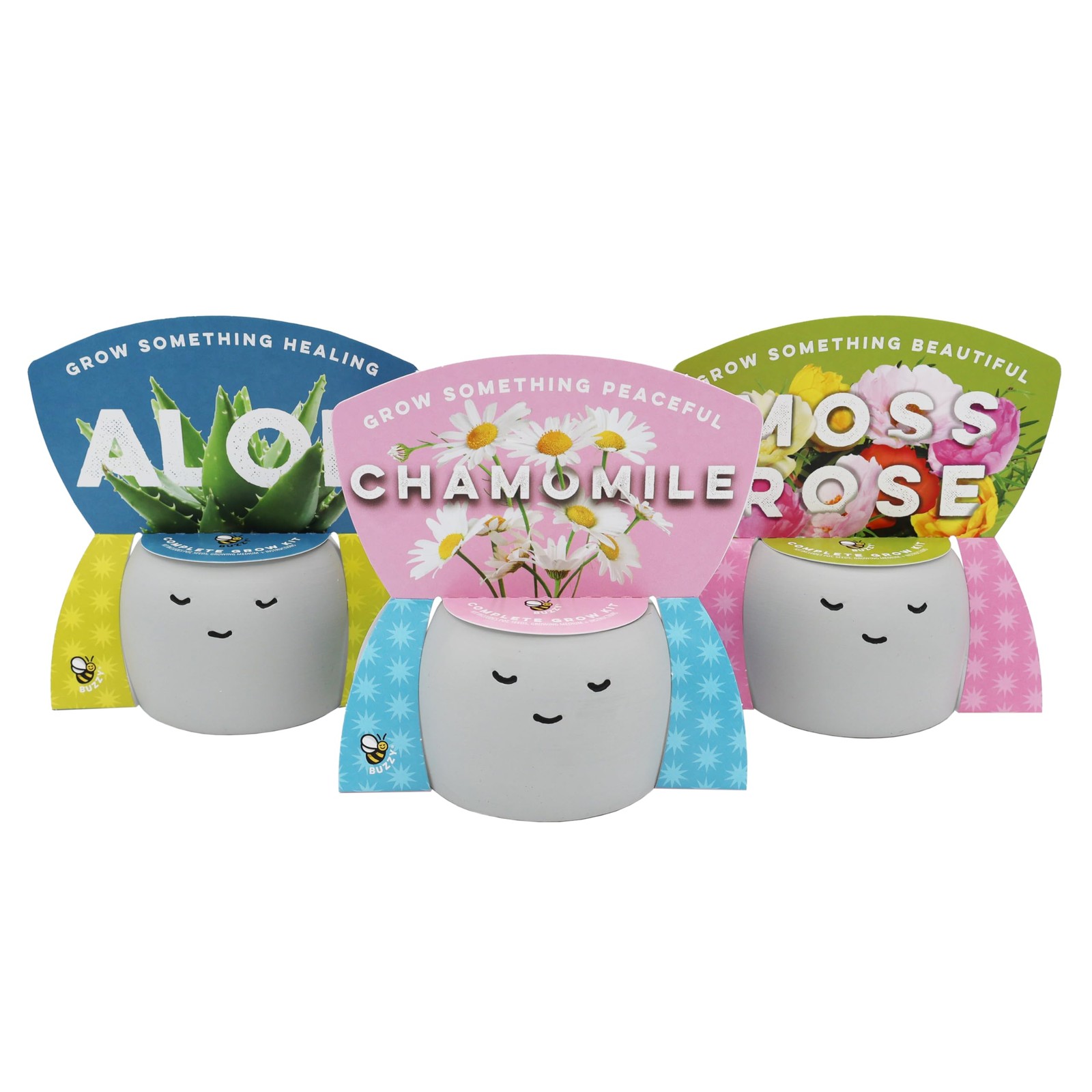 BUZZY Seeds Peaceful Face Planter Grow Kit, 3-Pack – Aloe, Moss Rose & Chamom…