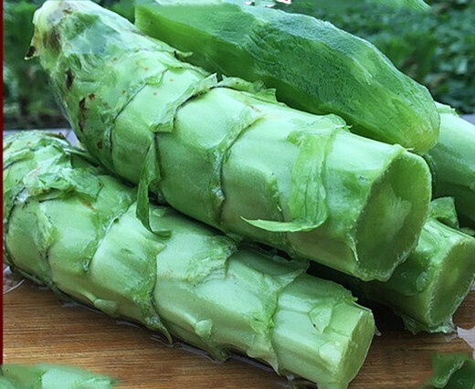 500+ Green Stem Celtuce Seeds 青皮青肉莴笋 2022新种子NEW!