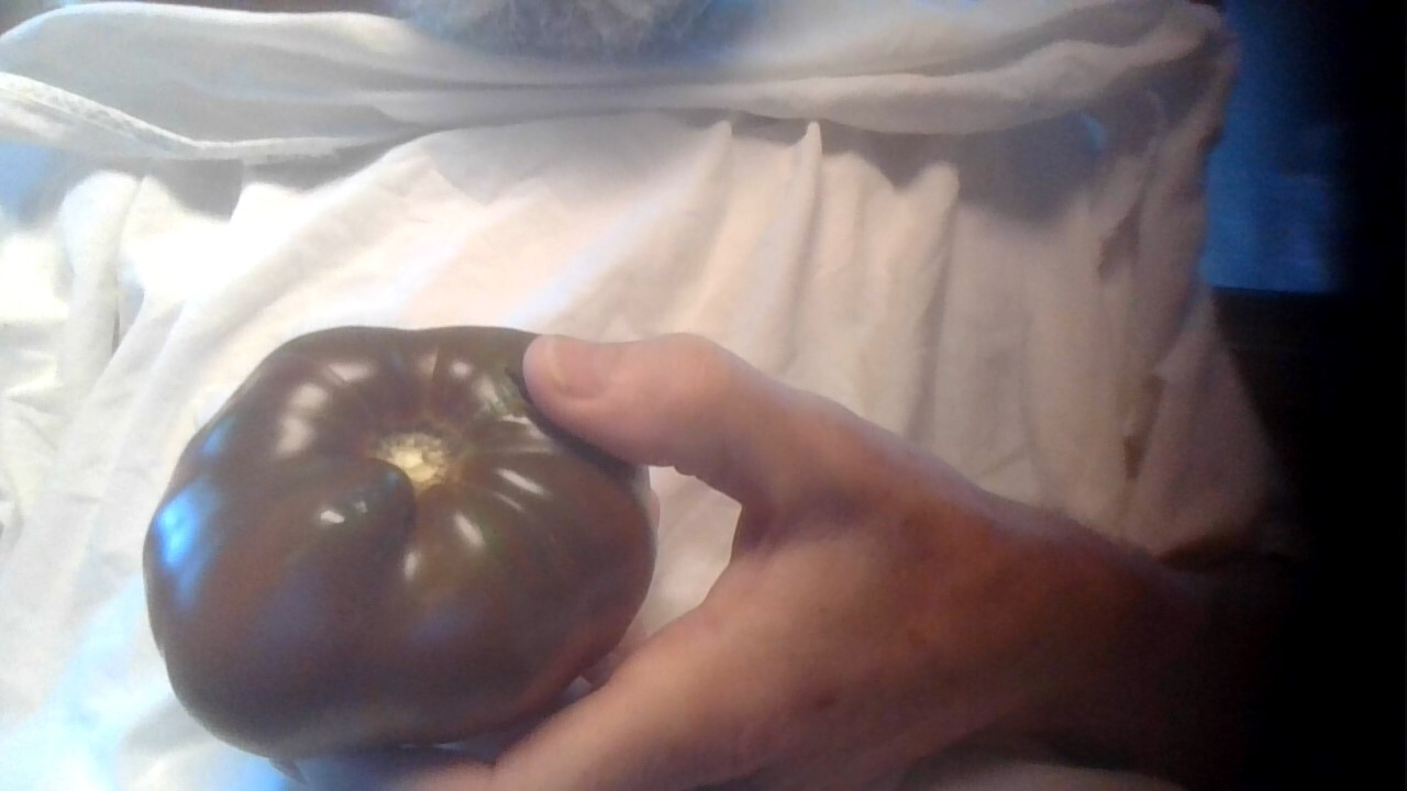 Black Krim, Organic, Heirloom, Delicious! – 15 seeds