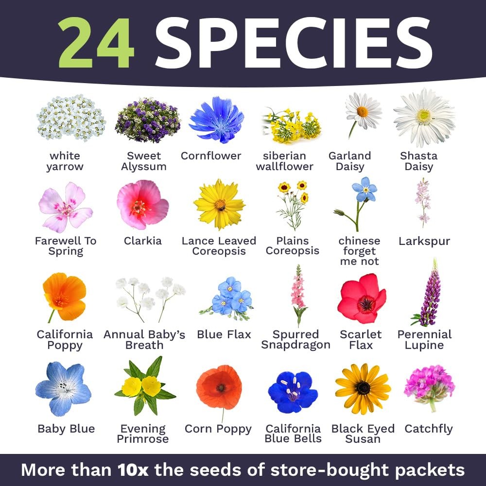 California Wildflower Seed Mix – 1 Ounce Bulk Packet – 7,000 Native Seeds