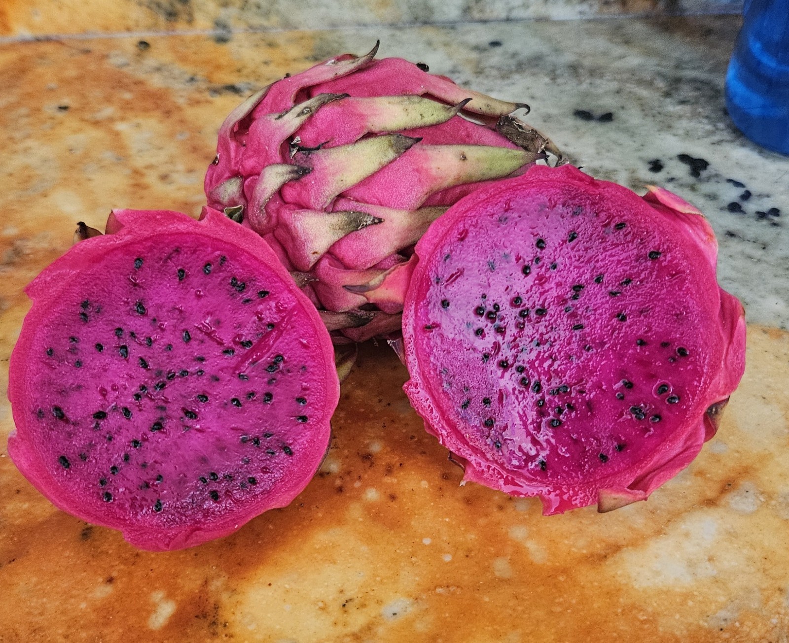 Red Pitaya Dragon fruit Seeds (50) / RARE / Florida Grown