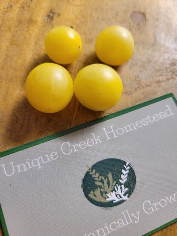 SNOW WHITE TOMATO Seeds Organically Grown Unique Creek Homestead Certified