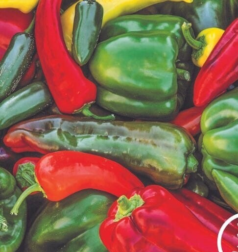 200+ Sweet & Spicy Pepper Mix Seeds —- FRESH