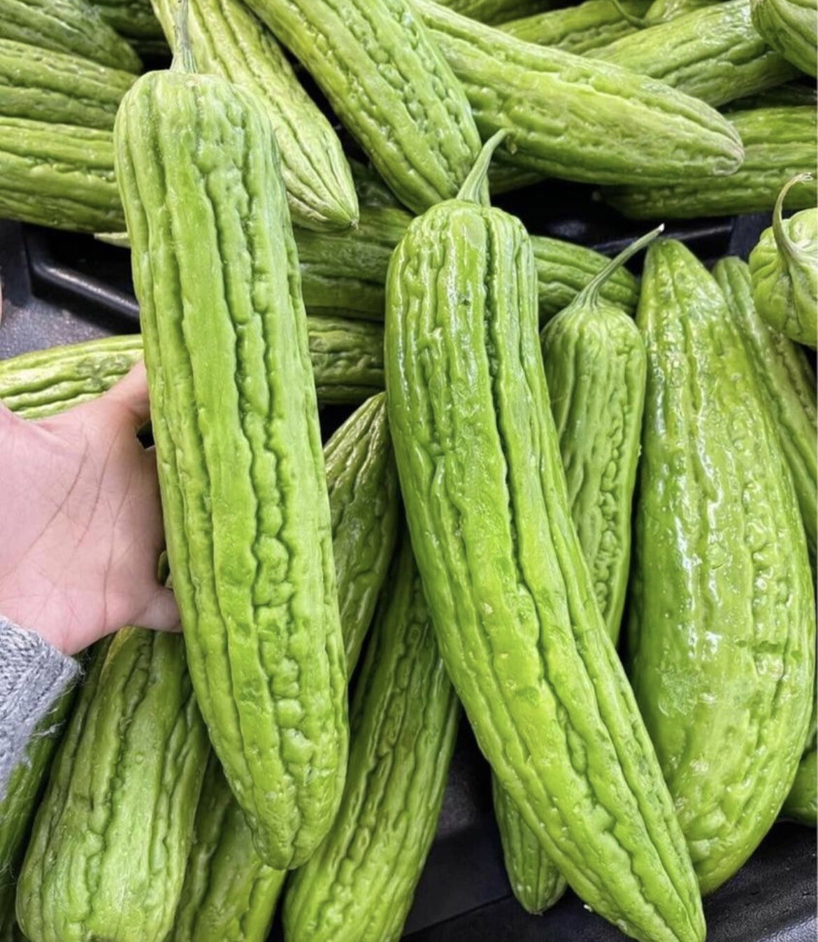 Set of 25 Variety Asian Vegetable Seeds. Pls.Check Description For Complete List