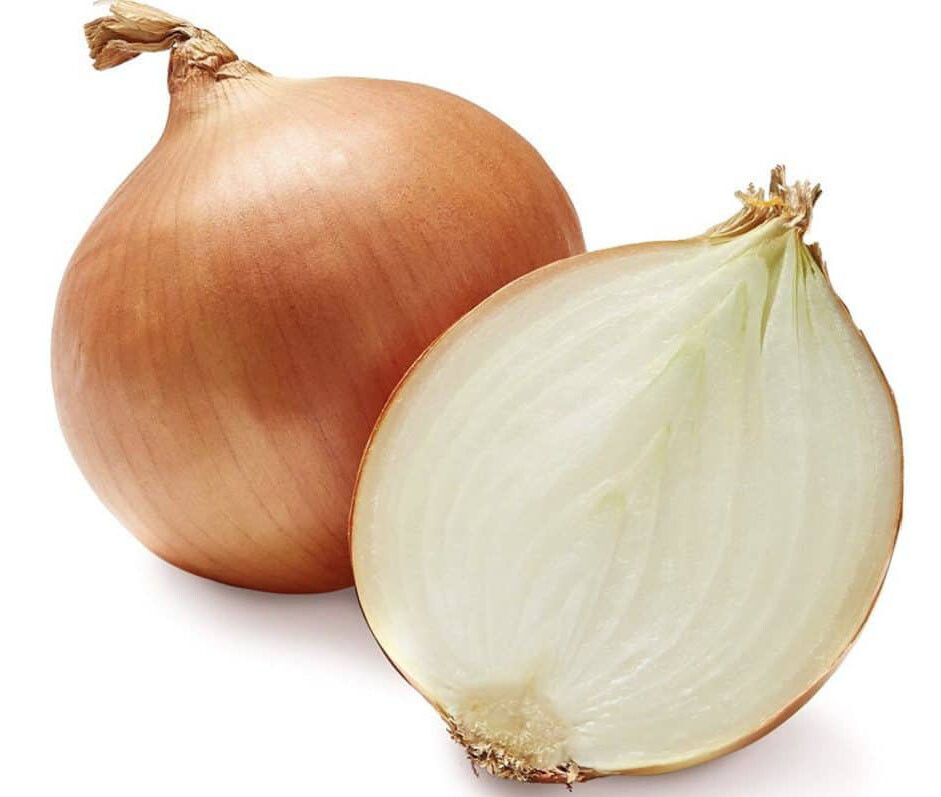 100+ Onion Seeds Walla Walla Onion Seeds Heirloom Tasting Garden Fresh USA