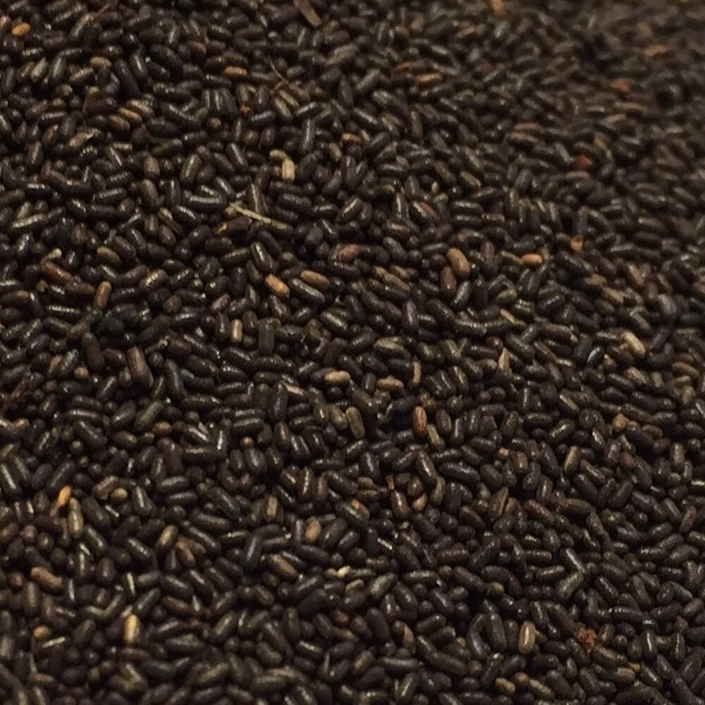 St. John’s Wort Seeds (Hypericum perforatum)~Traditional Herb Native Garden