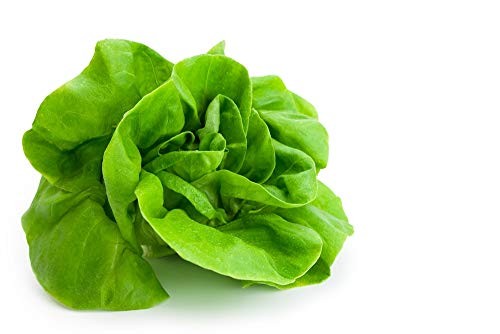 Buttercrunch Butterhead Lettuce Seeds, 1000 Heirloom Seeds Per Packet, (), Non