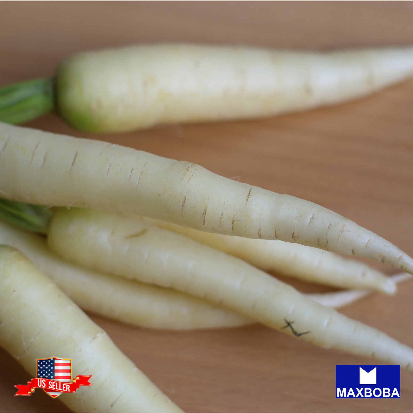 Radish Fresh Seeds – White Icicle Non-GMO Heirloom Garden Vegetable