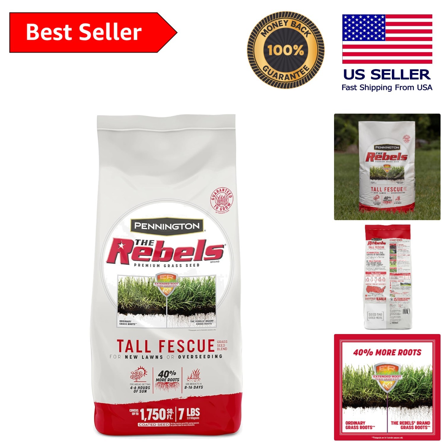 Opt for Quality with 7 lb Rebels Tall Fescue Grass Seeds for Unique Lawns