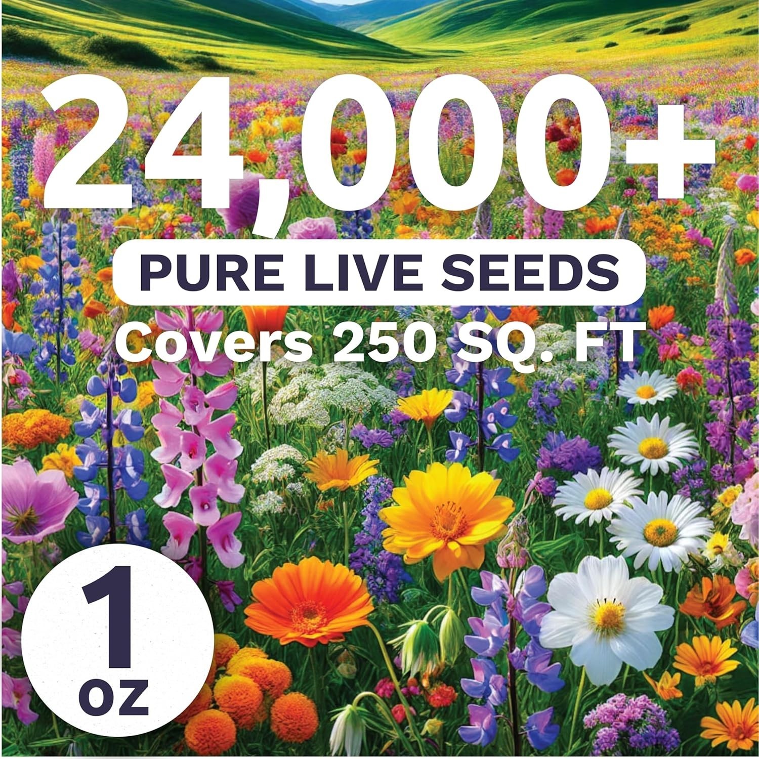 Transform Your Garden with 24,000 Pacific Northwest Wildflower Seeds – 1 Oz