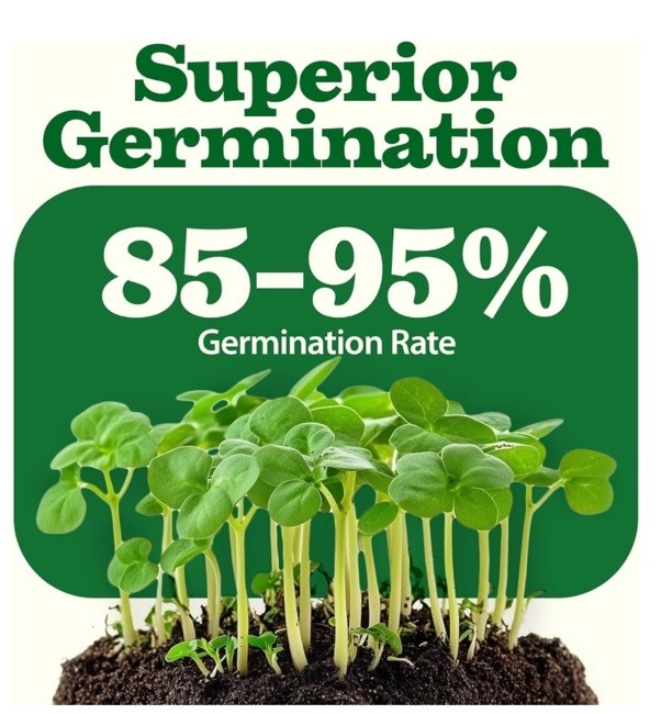 Heirloom Vegetable & Fruit 16,000+ Seeds for Planting – Non-GMO