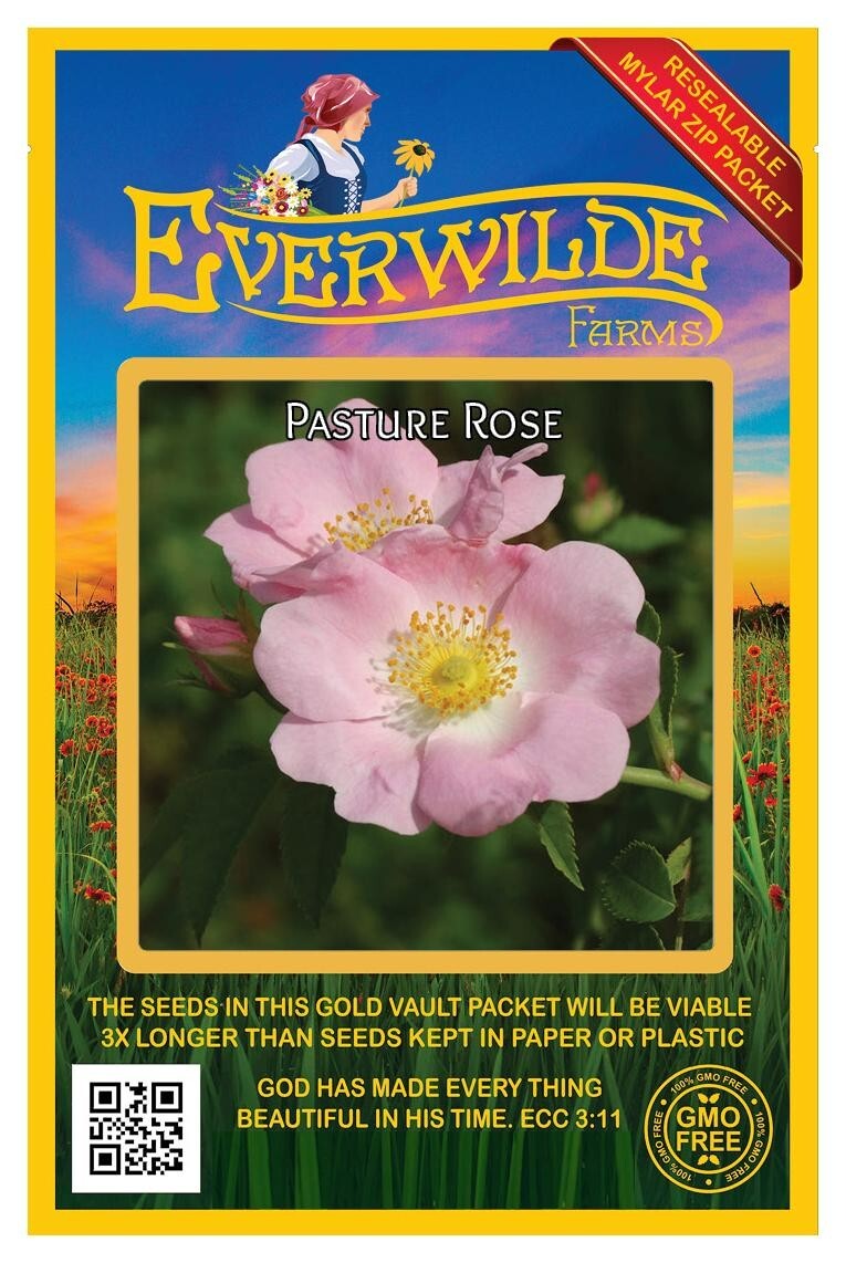 30 Pasture Rose Wildflower Seeds – Everwilde Farms Mylar Seed Packet