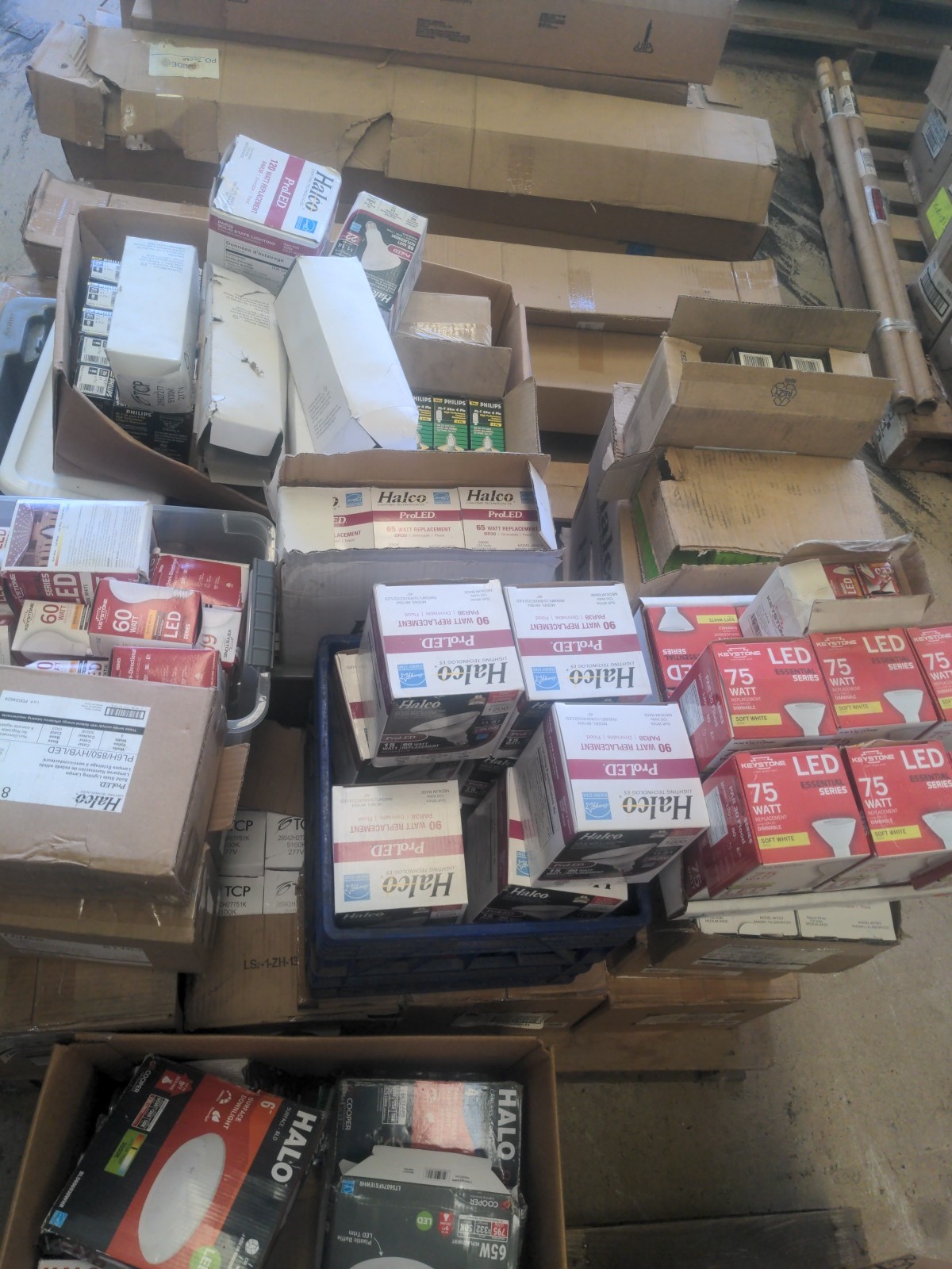 Assortment of all kinds of Bulbs