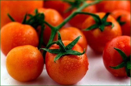 Tomato Large Cherry Basket Pack (Lycopersicon Esculentum) 100 Seeds