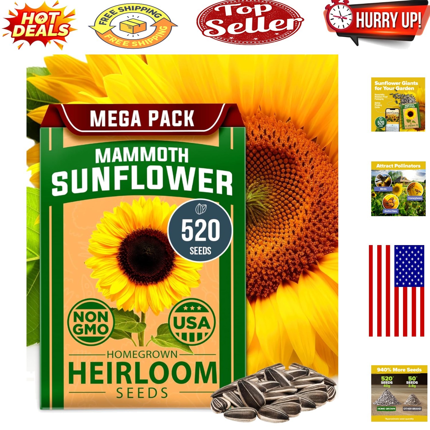 Giant Mammoth Sunflower Seeds – 520+ Heirloom Non-GMO Bulk Pack for Stunning …