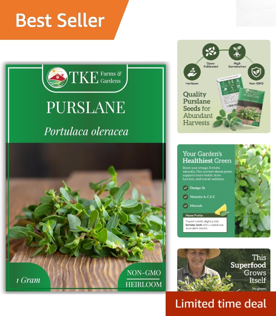 High-Germination Purslane Seeds – 2000+ Heirloom Seeds for Indoor/Outdoor Use