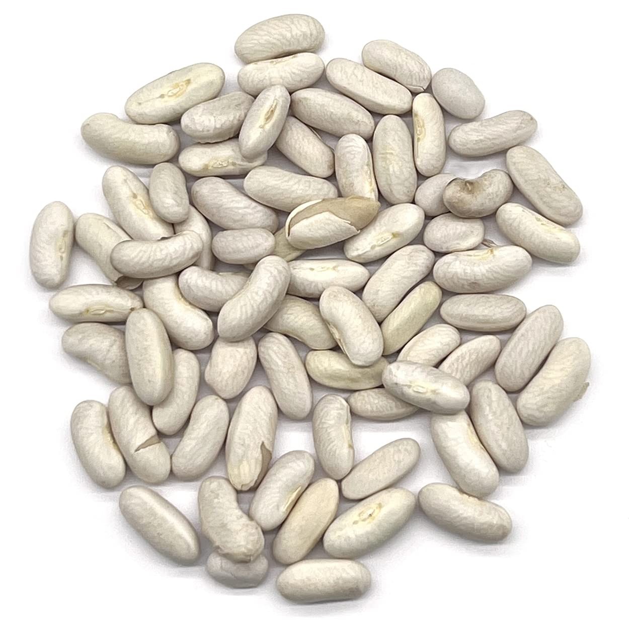 Heirloom Organic Blue Lake Bush Bean Seeds – 55 Non-GMO Seeds for Easy Harvest