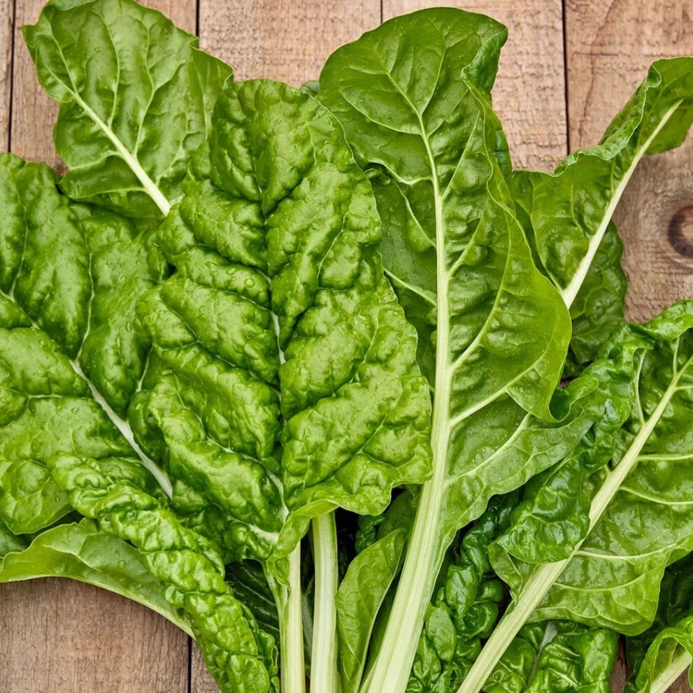 Fordhook Giant Swiss Chard, 50+ Seeds. Heirloom~NON-GMO~Organic. Free Shipping