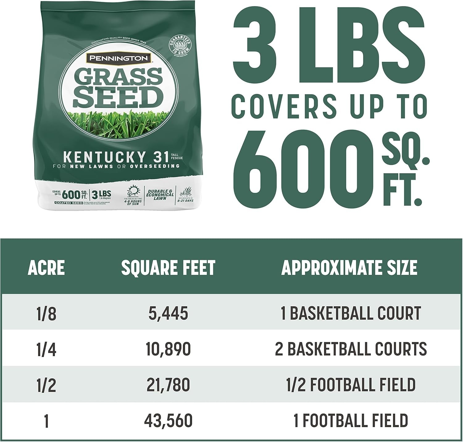 Economical Kentucky 31 Tall Fescue Penkoted Grass Seed, 3 lb – Fast Germination