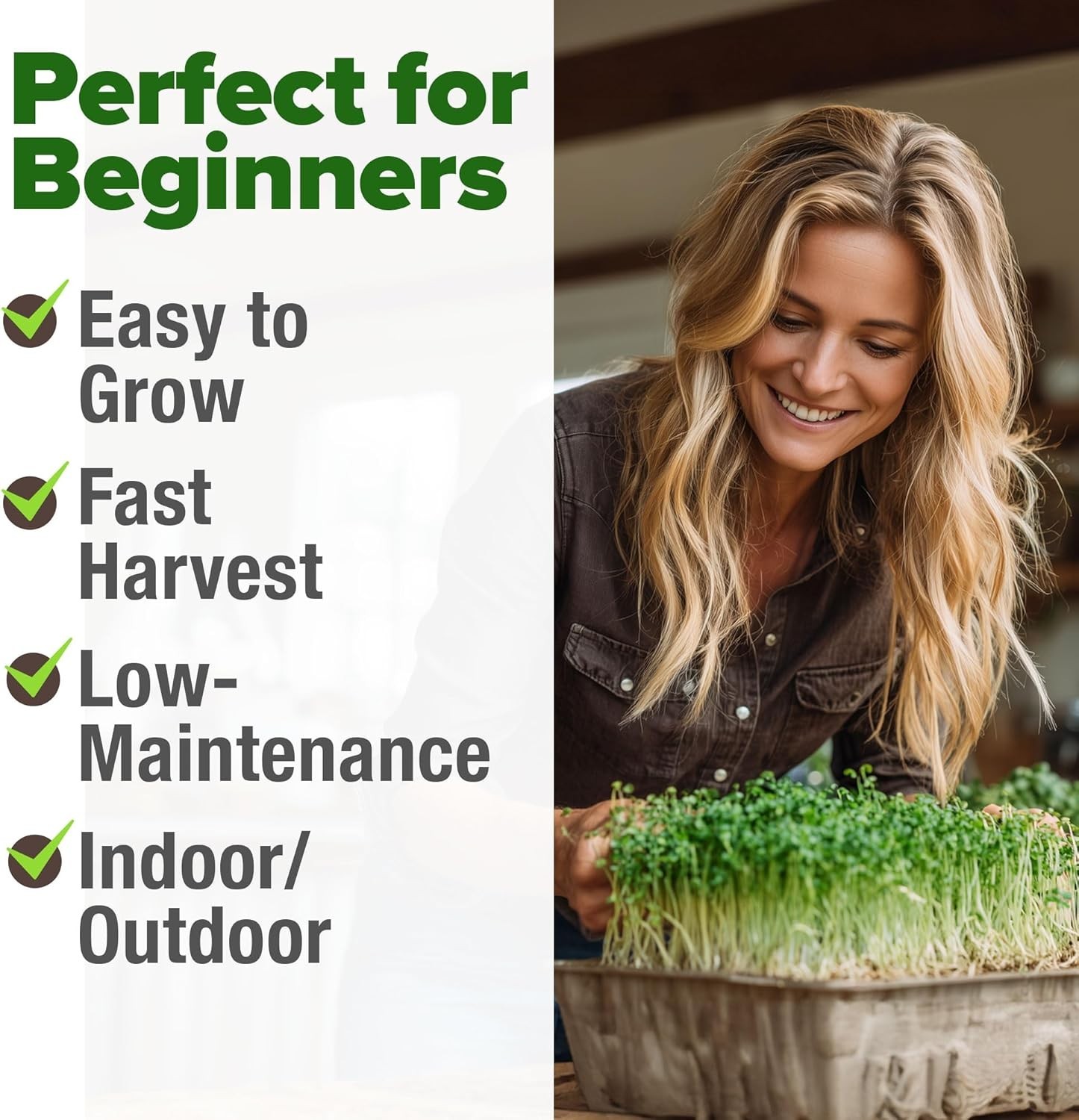 Sprouting Seeds Mix – Microgreens 118,200 Seeds for Indoor Growing – Non-GMO …