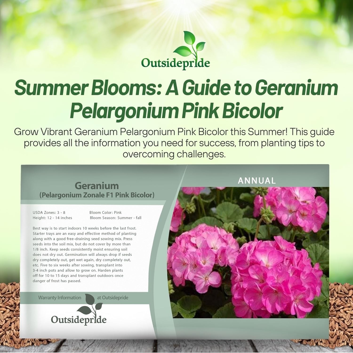 50 Seeds Geranium Pink Bicolor Drought Tolerant Geranium Garden Flower Seed